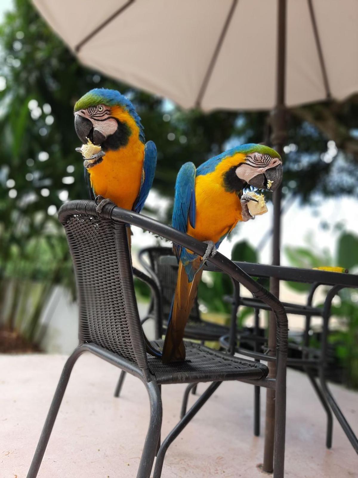 Casa Campestre Buga Parcelacion Paraiso De Sonsito Villa Eksteriør bilde